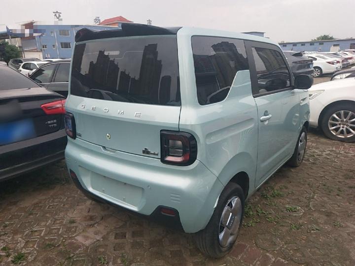 2023 Panda mini 200km Endurance Bear photo 4