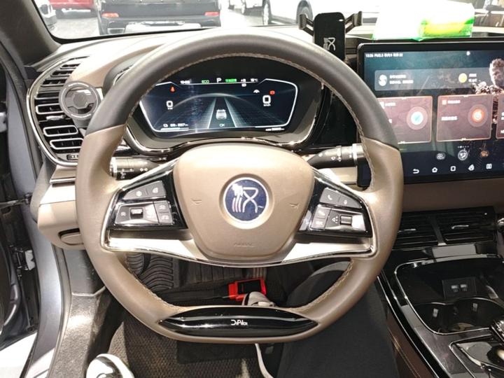 Han 2021 EV Standard Range Luxury photo 6