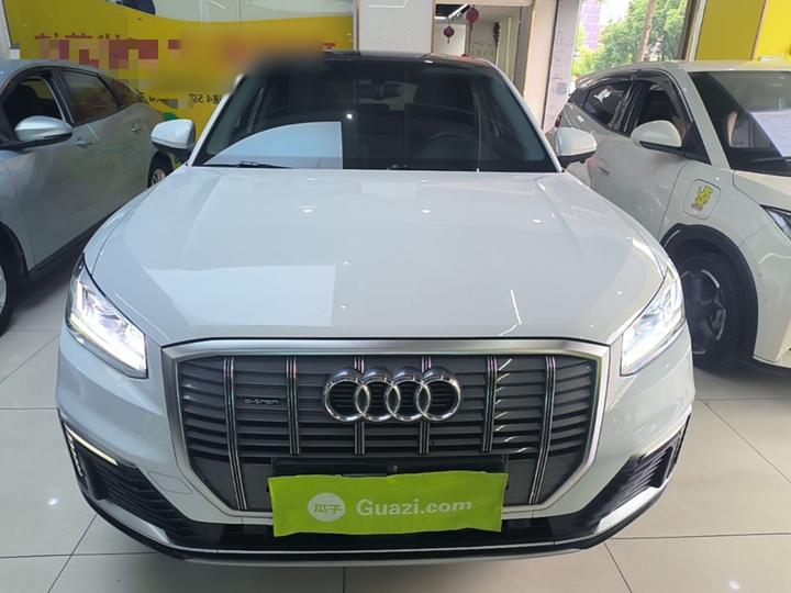 Q2L e-tron 2019 Q2L e-tron EV Smart photo 2