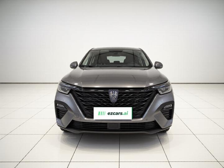 RX5 EV 2020 ePLUS Flagship photo 2