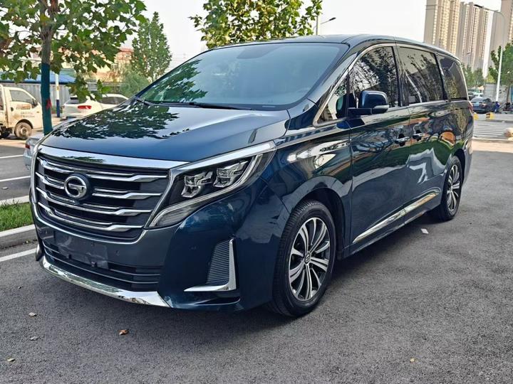 GAC Trumpchi M8 2020 Pilot 390T Premium
