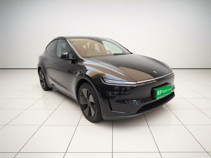 Model Y L 2025 Long Range AWD photo 3