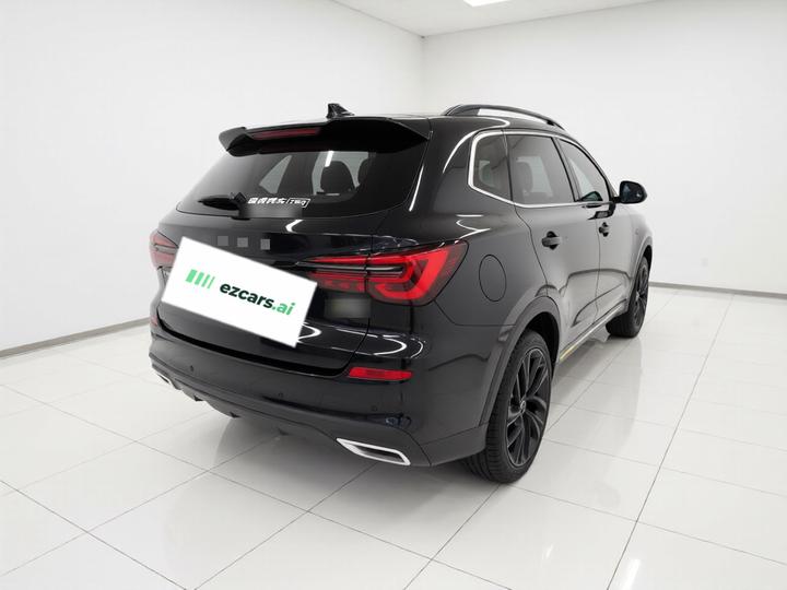 RX5 EV 2020 ePLUS Luxury photo 6