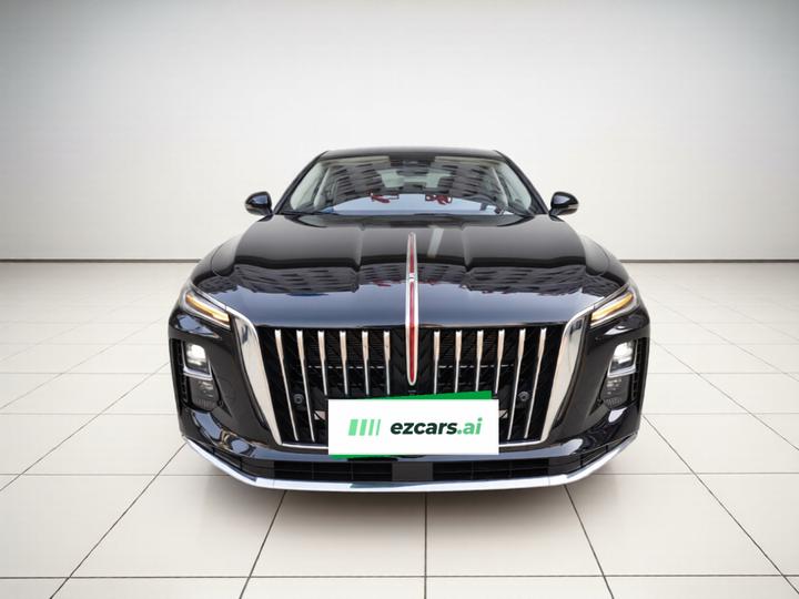 H5 PHEV 2025 130 photo 2