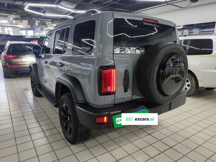300 2021 Off-road 2.0T Conqueror photo 4