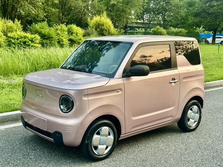2023 Panda mini 200km Endurance Bear