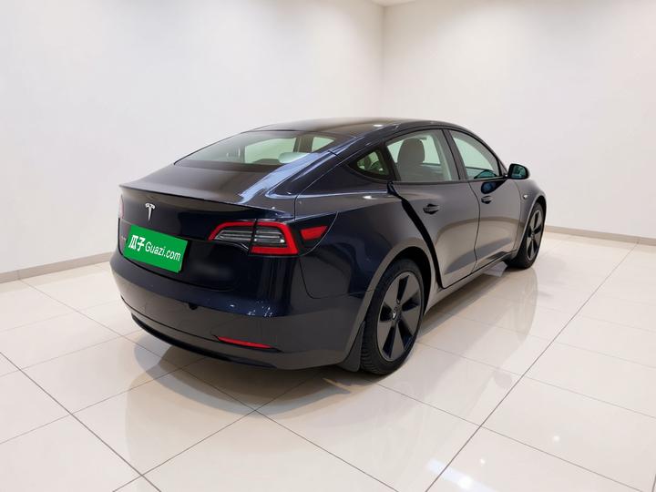 Model 3 2021 Facelift Standard Range RWD Upgraded 3D1 photo 6