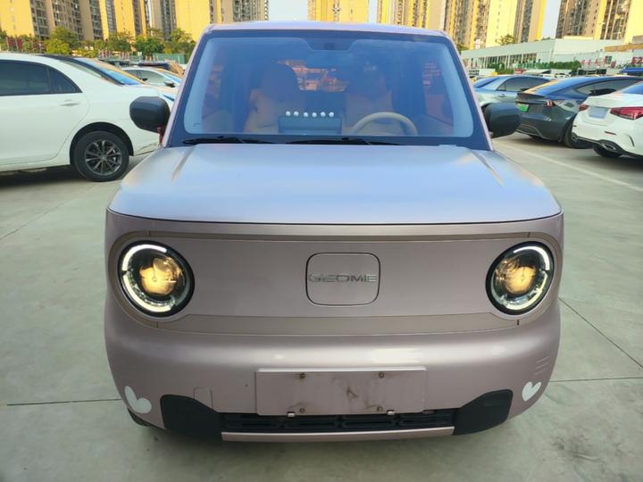 2023 Panda mini 200km Endurance Bear photo 2