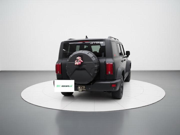 300 2021 Off-road 2.0T Conqueror photo 5
