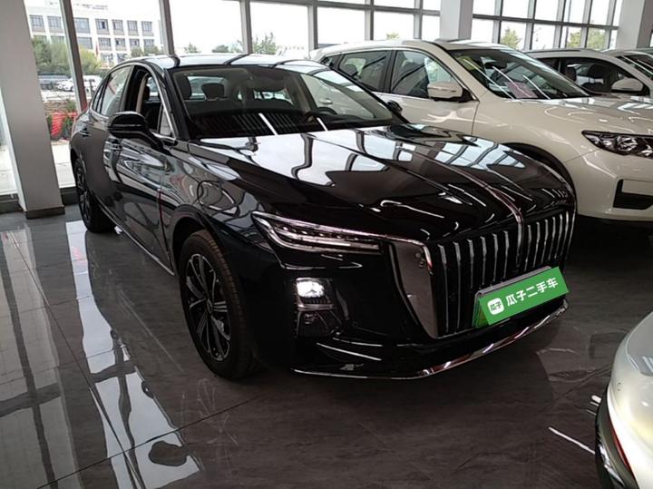 H5 PHEV 2025 130 photo 3