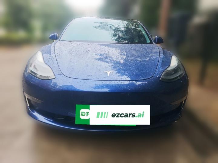 Model 3 2022 Performance AWD photo 2