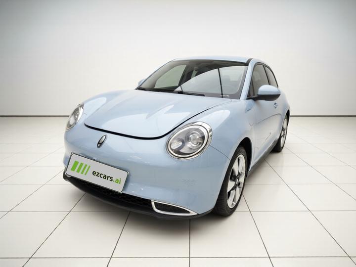 Good Cat 2022 400km Standard Range Luxury LFP