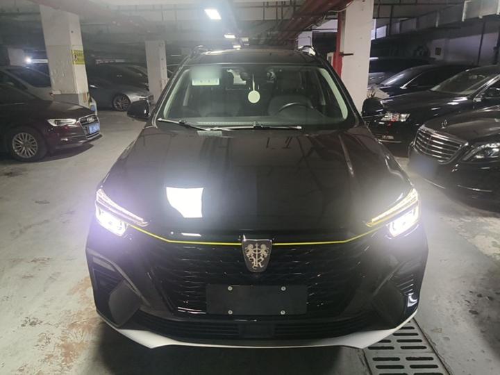 RX5 EV 2020 ePLUS Luxury photo 2