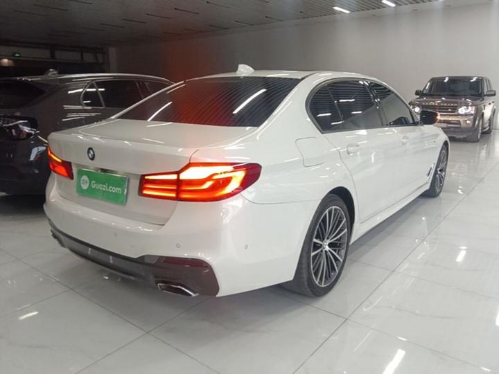 5 Series 2020 530Li Exclusive M Sport Package photo 6