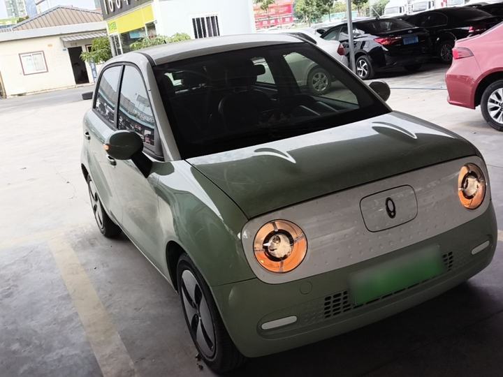 2022 Facelift 301km LFP photo 4