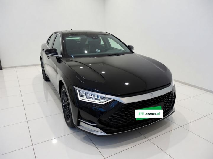 Han 2020 DM AWD Performance Premium photo 2
