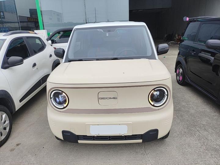 2023 Panda mini 200km Endurance Bear photo 2