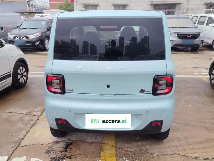 2023 Panda mini 200km Endurance Bear photo 3