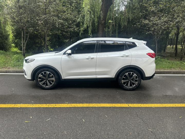 VV6 2021 2.0T RWD + photo 3