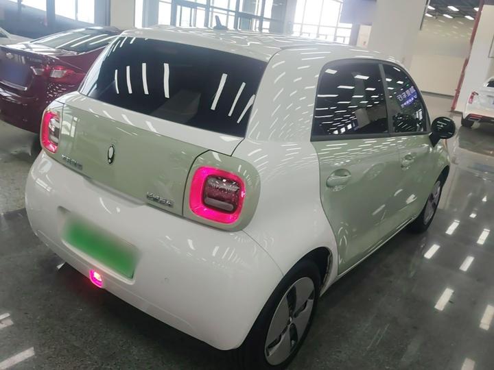 2022 Facelift 301km LFP photo 4