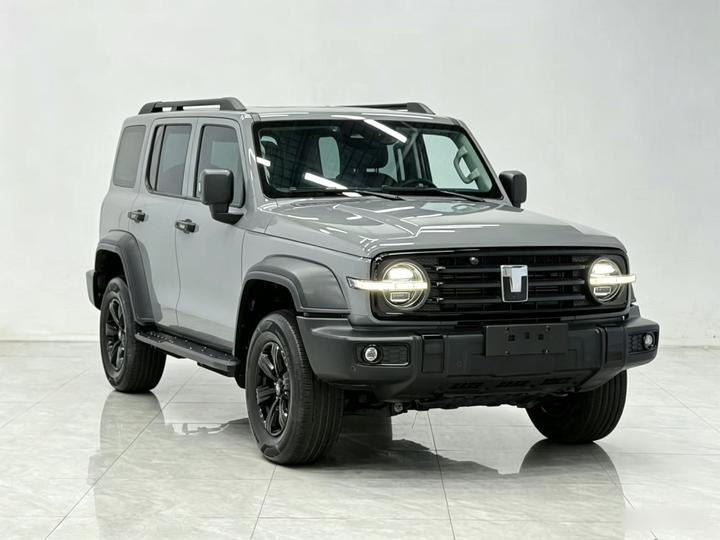 300 2021 Off-road 2.0T Conqueror photo 3