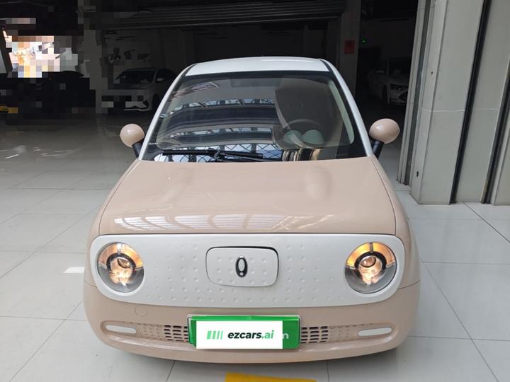 2022 Facelift 301km LFP photo 2