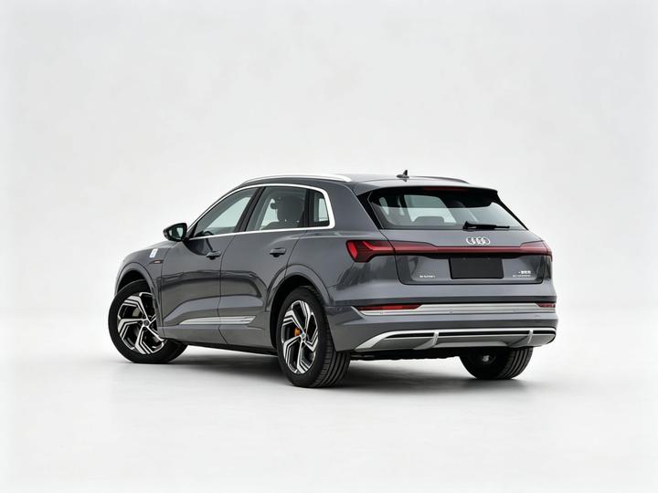 e-tron 2021 50 quattro photo 4