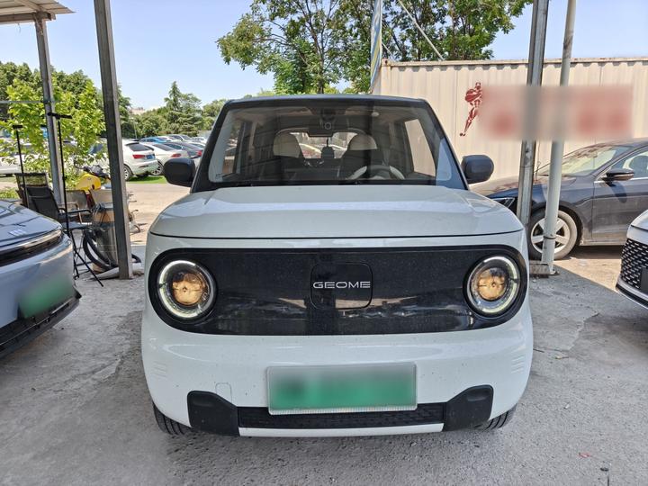 2024 Panda mini 200km Endurance Bear photo 2