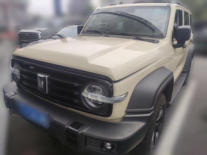 300 2025 2.0T Petrol Conqueror