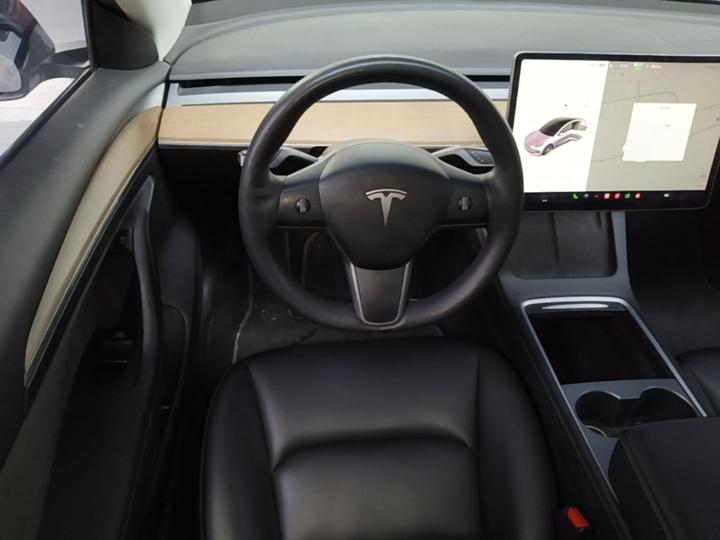 Model 3 2021 Performance AWD photo 6