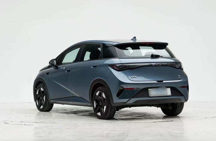 Dolphin 2025 ADAS 410km Fashion photo 3