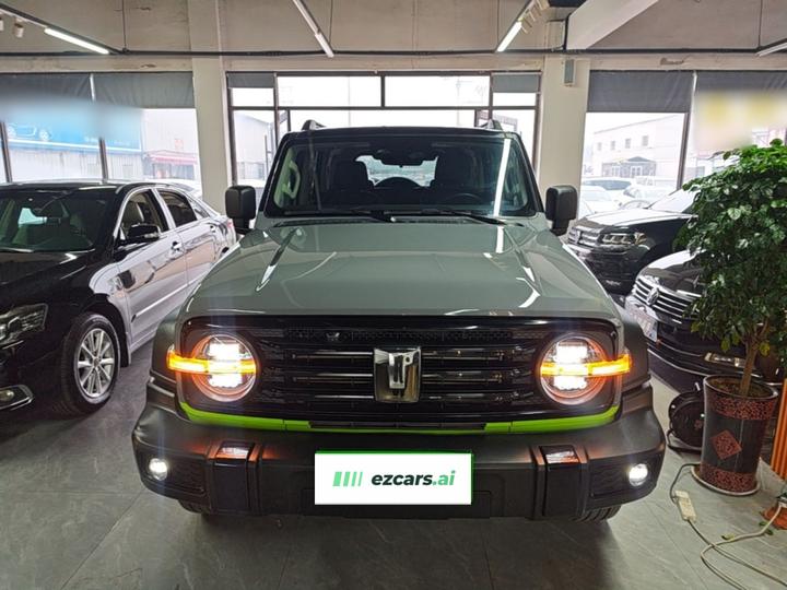 300 2024 2.0T Conqueror photo 2