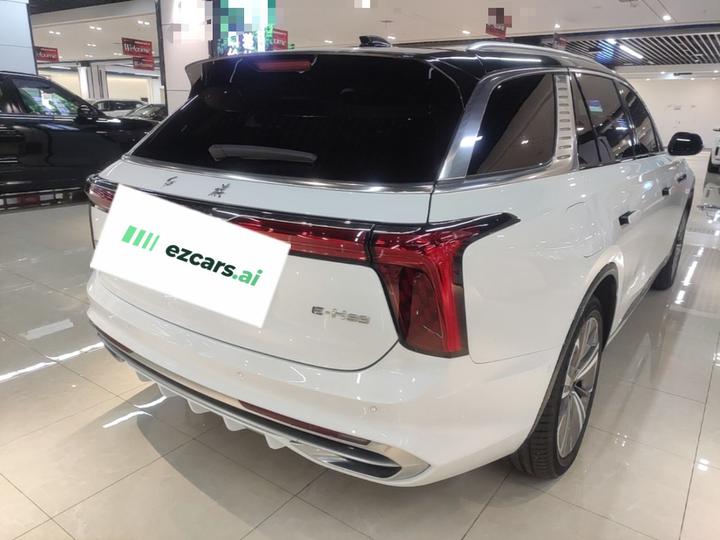 E-HS9 2022 690km 6-Seater photo 4