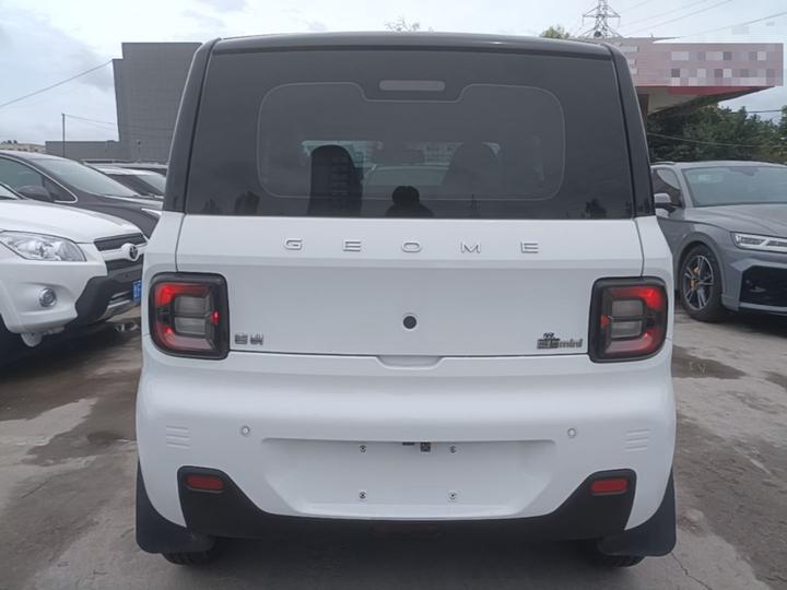 2023 Panda mini photo 3