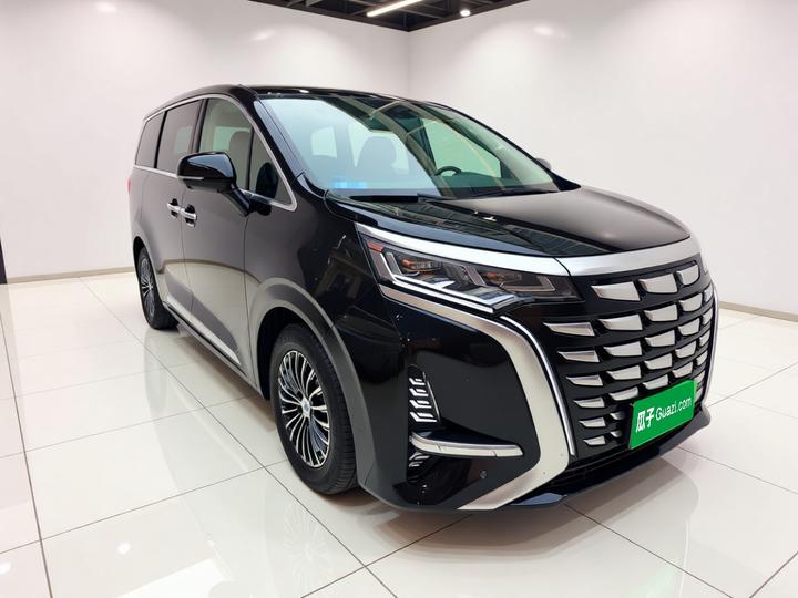 D9 2024 DM-i 980 AWD Noble photo 3