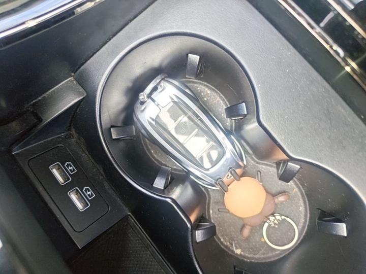 Han 2021 EV Standard Range Luxury photo 8