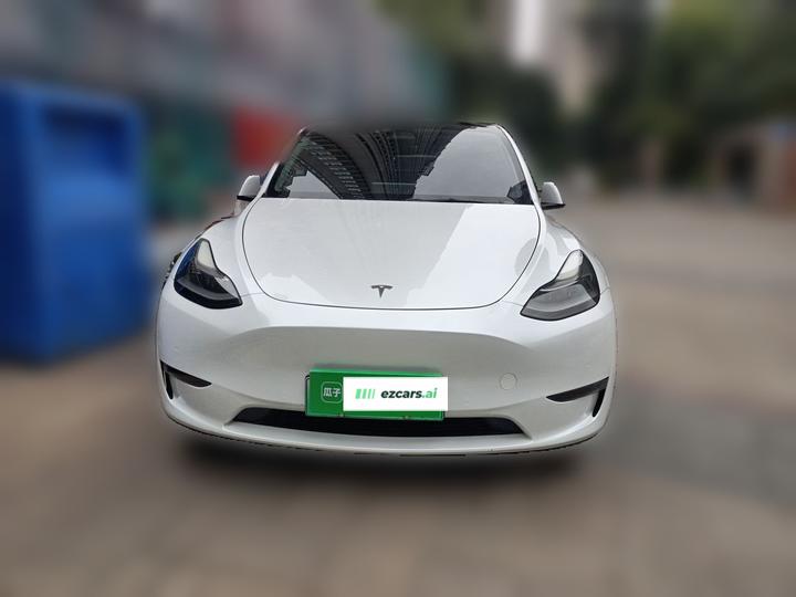 Model Y 2021 Standard Range RWD photo 2