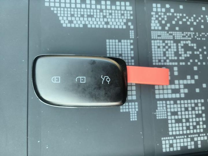 Z20 2025 530km RWD Max photo 8