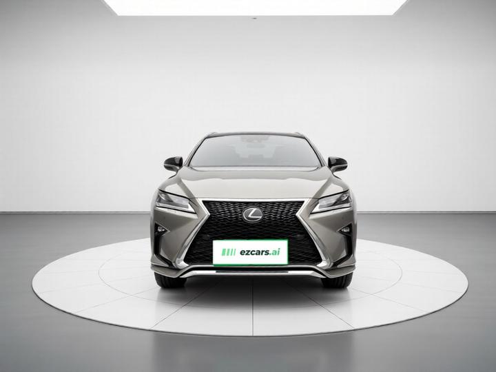 RX 2016 300 AWD F SPORT China V photo 2