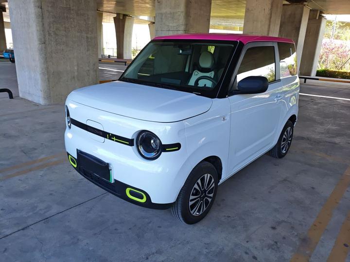 2025 Panda mini 210km Yuan