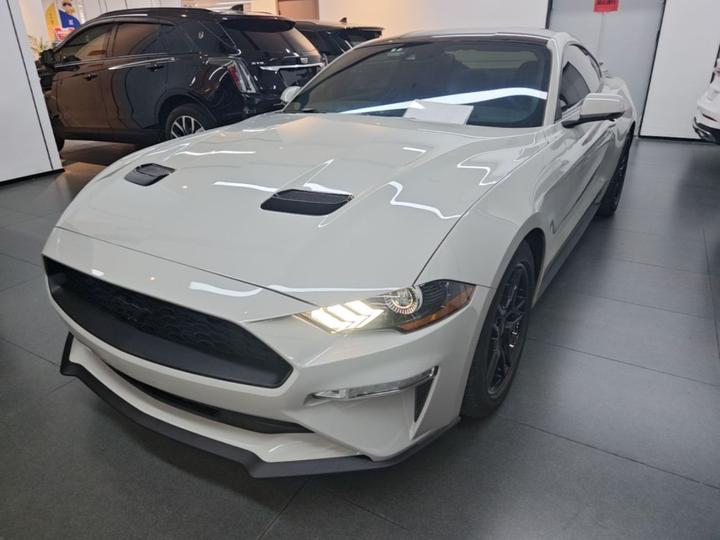Mustang Parallel Import