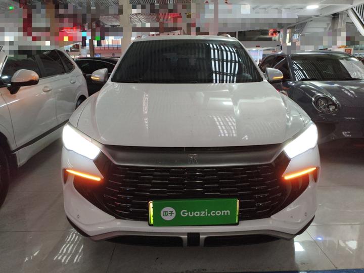 Song Pro EV 2024 Honor DM-i 71KM Pilot photo 2