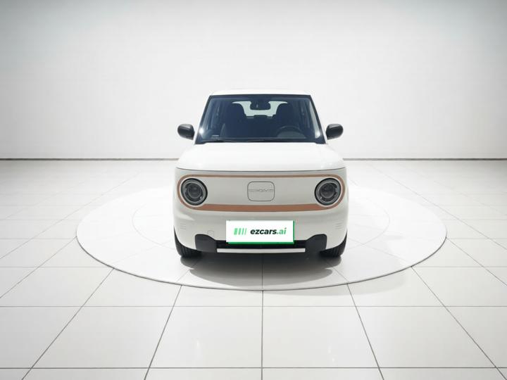 2024 Panda mini 200km Endurance Bear photo 2