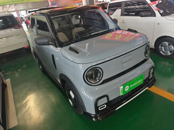 2024 200km Panda photo 3