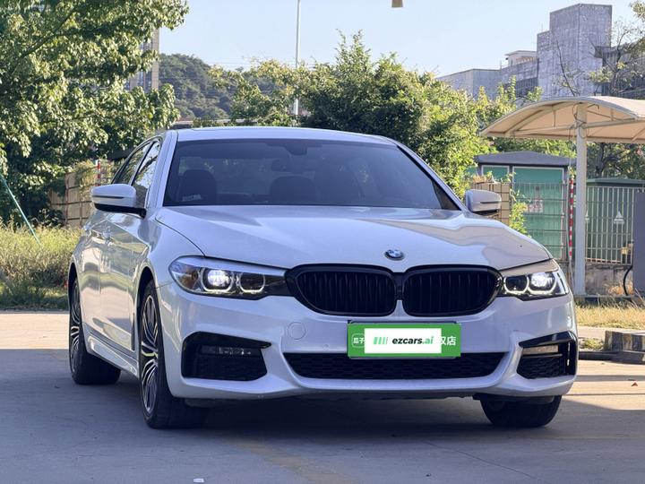 5 Series 2019 530Li Leading M Sport Package photo 2