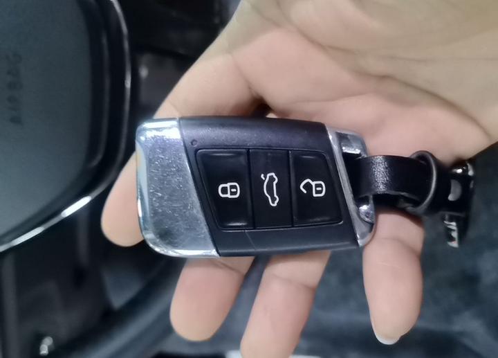 Passat 2021 330TSI Elite photo 8