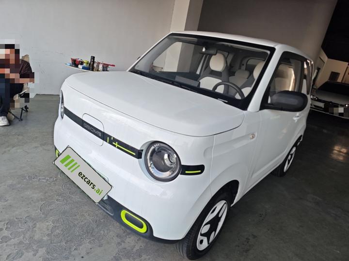 2025 Panda mini 210km Yuan