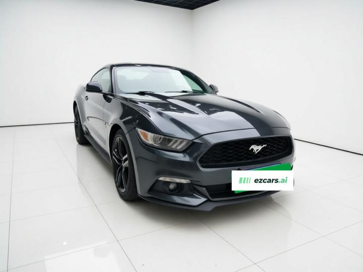 Mustang 2015 2.3T Performance photo 3