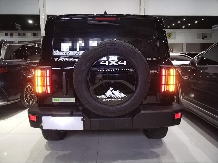 300 2021 Off-road 2.0T Conqueror photo 5