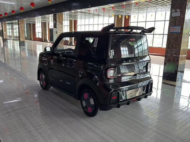 2024 200km Panda photo 4